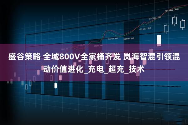 盛谷策略 全域800V全家桶齐发 岚海智混引领混动价值进化_充电_超充_技术