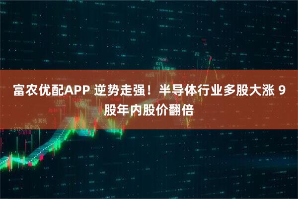 富农优配APP 逆势走强！半导体行业多股大涨 9股年内股价翻倍